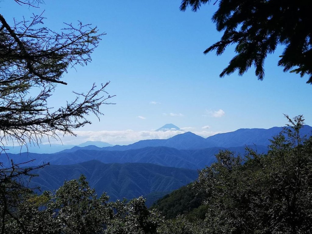 雲取山から見る富士山の写真